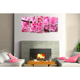 Primavara inflorita 2742