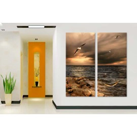 Stanci si pescarusi 3071