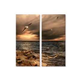 Stanci si pescarusi 3071