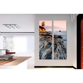 Copac pe stanci 7016