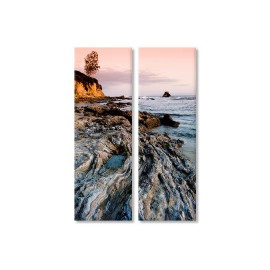 Copac pe stanci 7016