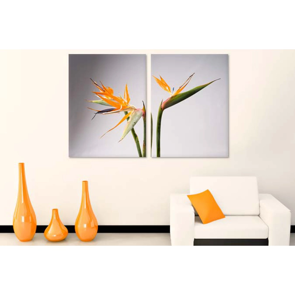 Flori strelitia 4450