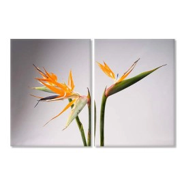 Flori strelitia 4450