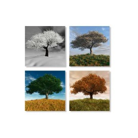 Tablouri 4 anotimpuri 2087