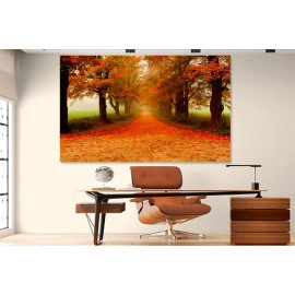 Tablou canvas peisaj drum de toamna