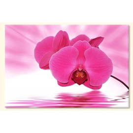 Tablouri Orhidee 40315