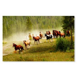 Tablou herghelie mustangi 18173