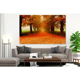 Tablou canvas peisaj drum de toamna