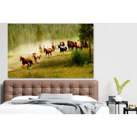 Tablou herghelie mustangi 18173