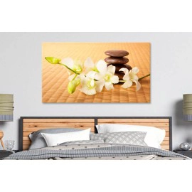 Orhidee bambus 10142