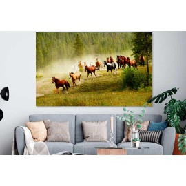 Tablou herghelie mustangi 18173
