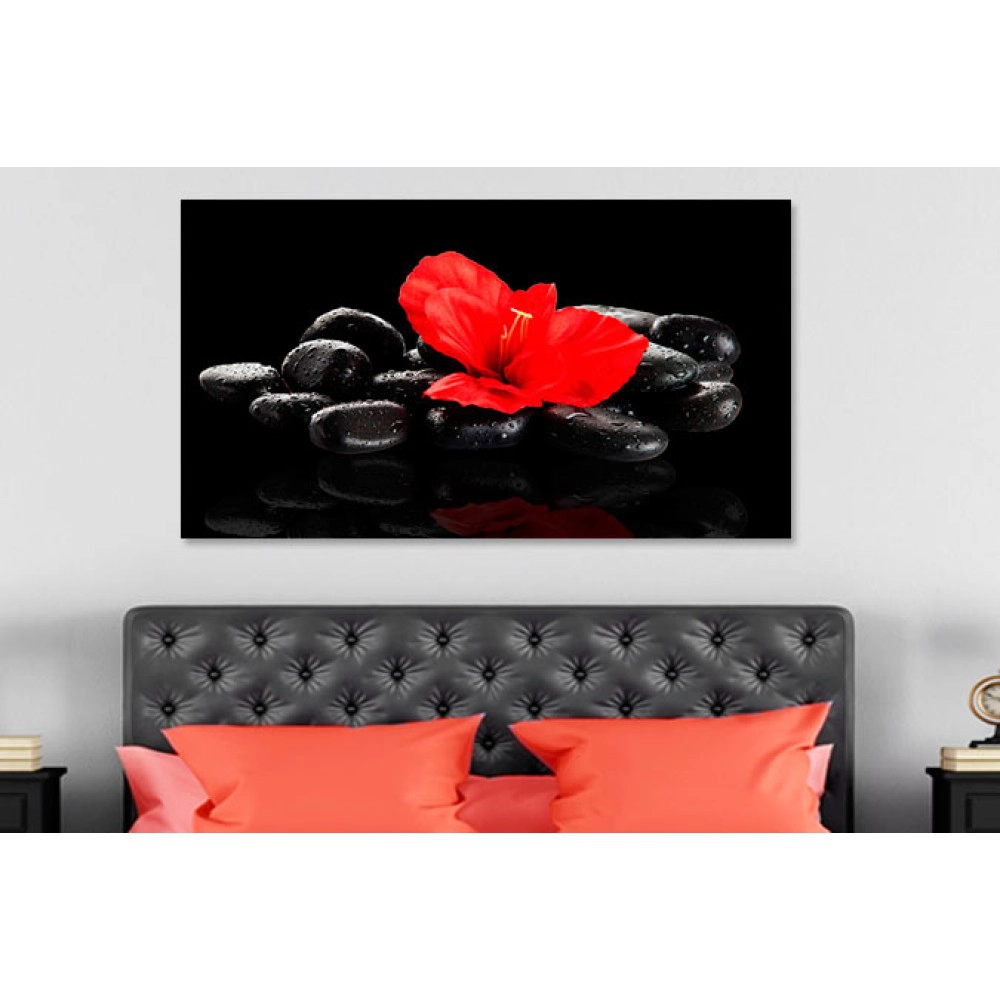 Tablou relax floare rosie pe pietre