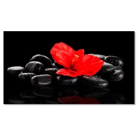 Tablou relax floare rosie pe pietre