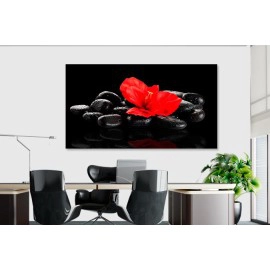 Tablou relax floare rosie pe pietre