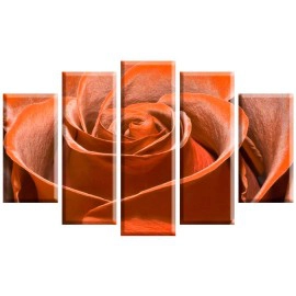 Tablouri Rose 79779 or