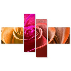 Tablouri Trandafir 79779