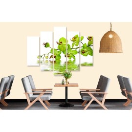 Tablouri Orhidee 2242