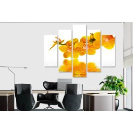 Tablouri Orhidee 53501