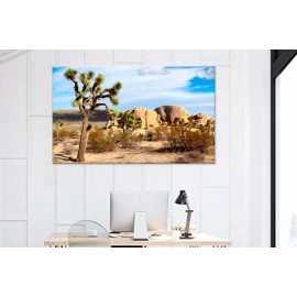 Tablouri Joshua 74399