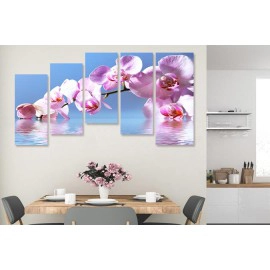 Orhidee fond blue 64087