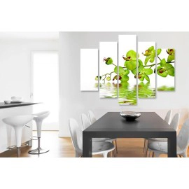 Tablouri Orhidee 2242