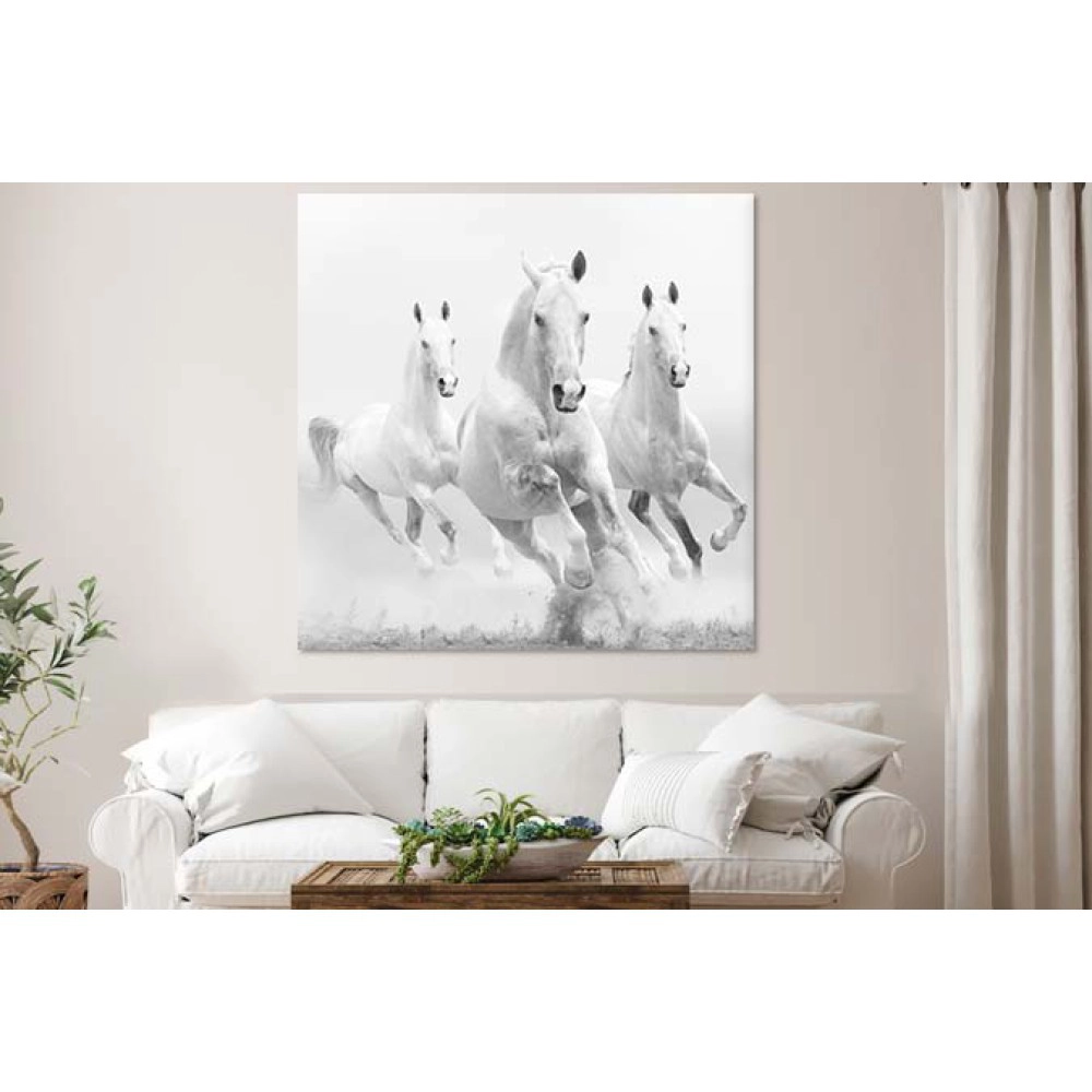 Tablouri canvas cai albi 48121