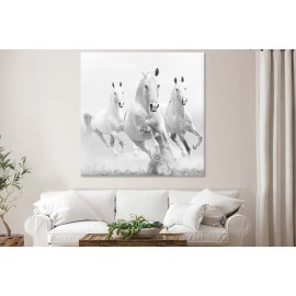 Tablouri canvas cai albi 48121