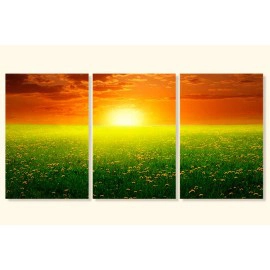 Tablouri canvas camp cu flori