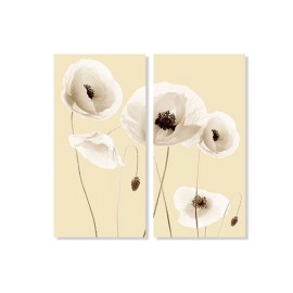 Tablouri maci stil pe bej 45287