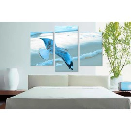 Pescarus in zbor 25340