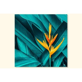 Tablou strelitia si frunze verzi-turcoaz