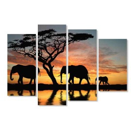 Tablouri Africa 51741