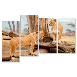 Tablouri Africa 2140