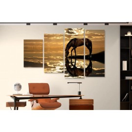 Tablouri Cal la adapat 25164