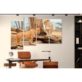 Tablouri Africa 2140