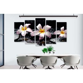 Tablouri Plumeria stropi 7540