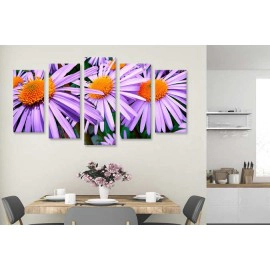 Tablouri aster mov 5764