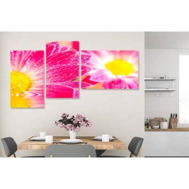 Flori gerbera roz 7848