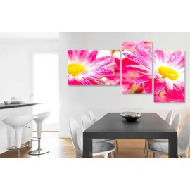 Gerbera roz-galben 7860