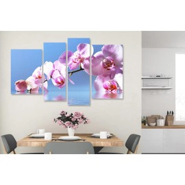 Tablouri orchid 6487