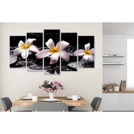 Tablouri Plumeria stropi 7540