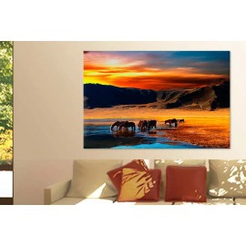 Cai la asfintit 5043