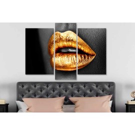 Tablouri moderne buze aurii