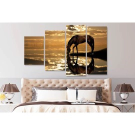 Tablouri Cal la adapat 25164