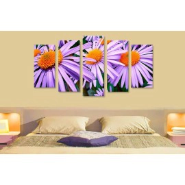 Tablouri aster mov 5764