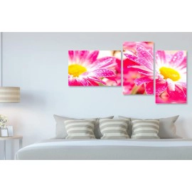 Gerbera roz-galben 7860