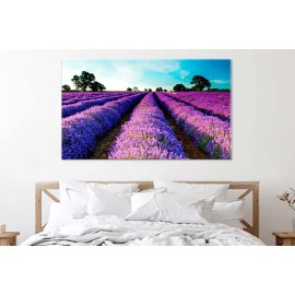 Tablouri Lavanda 26991
