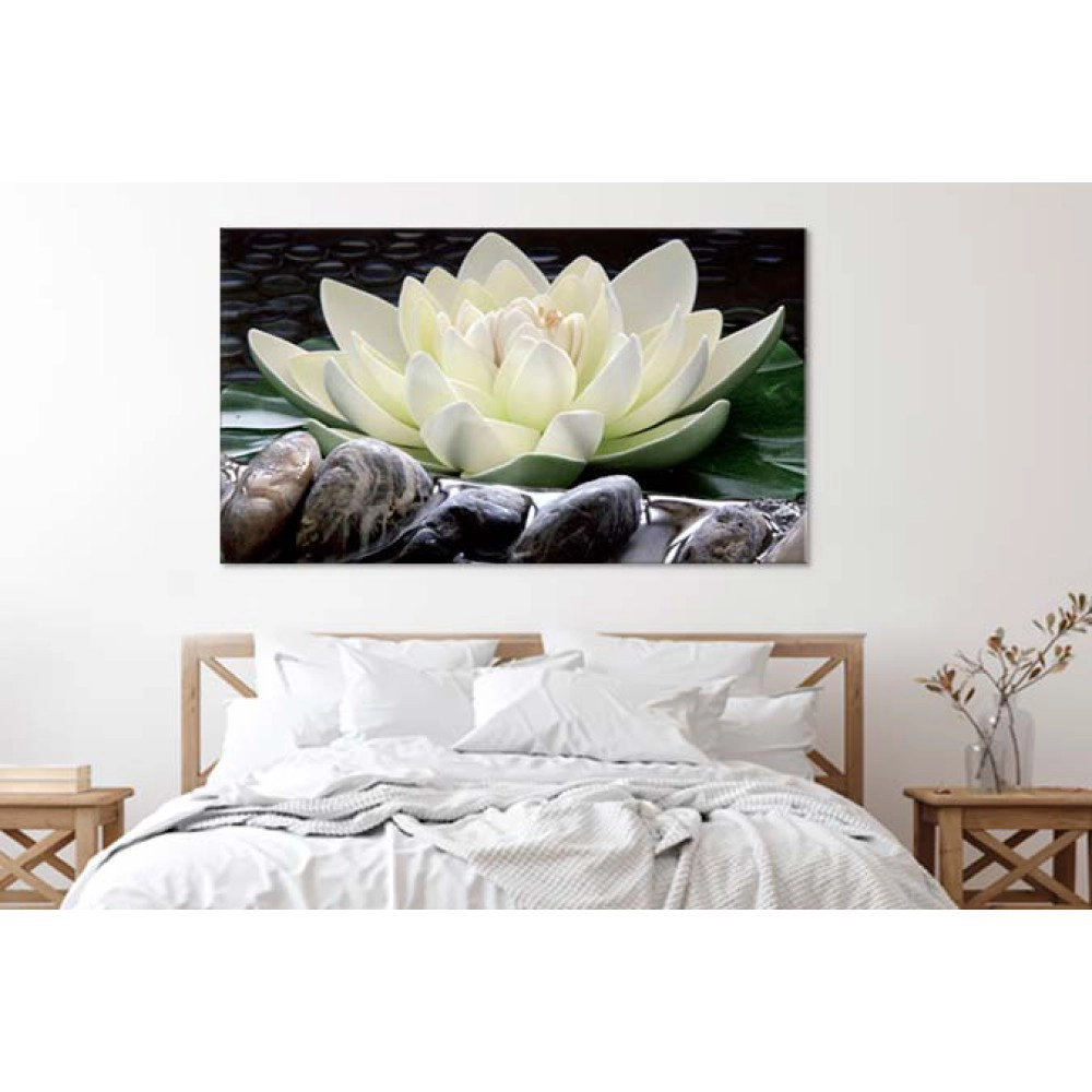 Tablouri Nufar in apa 17569