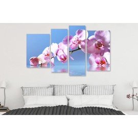 Tablouri orchid 6487