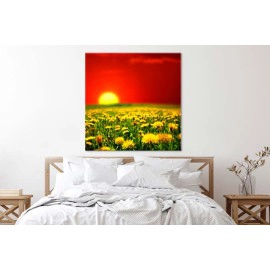 Tablouri Papadie 55743